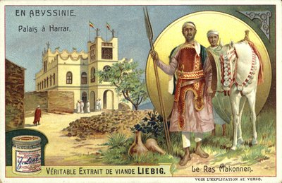 Palais à Harar et Ras Makonnen, Éthiopie - European School